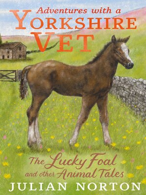 cover image of Adventures with a Yorkshire Vet